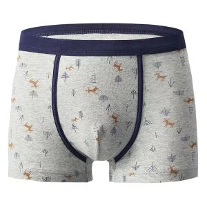 Styles de sous-vêtements pour hommes personnalisés en coton imprimé